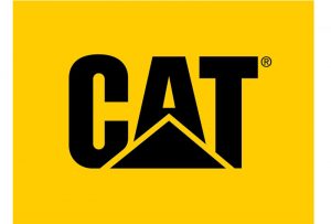 engins et matériel de levage cat